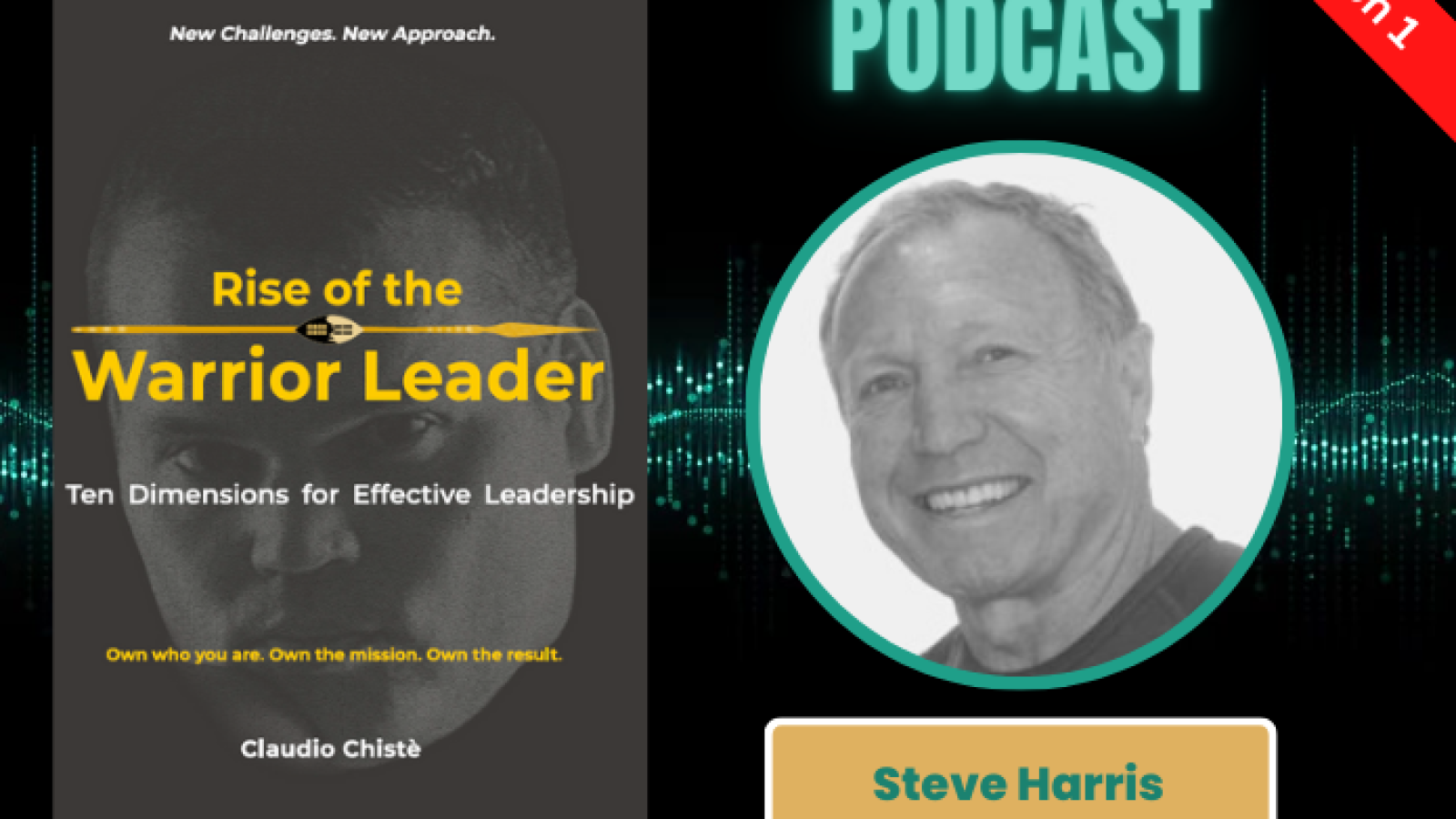 Podcast: Dr Steve Harris